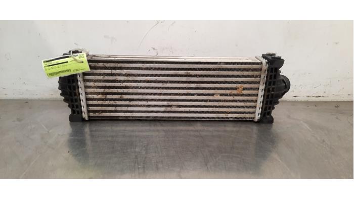 Intercooler Ford Transit
