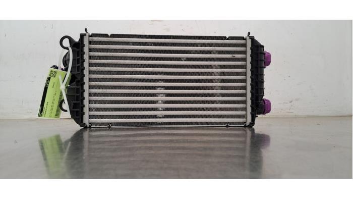 Intercooler Citroen C4