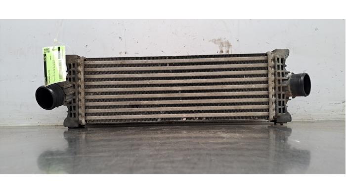 Intercooler Ford Transit