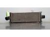 Ford Transit 2.0 TDCi 16V Eco Blue 170 Intercooler