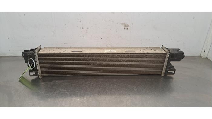 Radiateur Fiat Talento