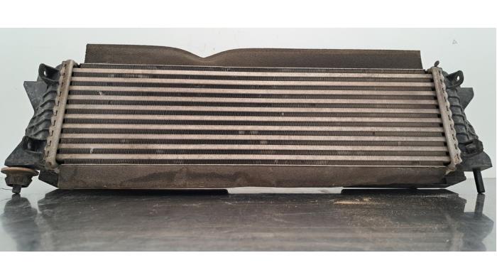 Intercooler Nissan Navara