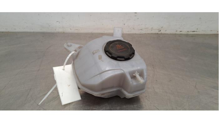 Réservoir d&#039;expansion Seat Ibiza