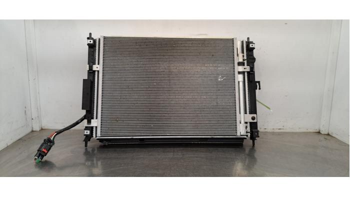 Set refroidisseur DS Automobiles DS4