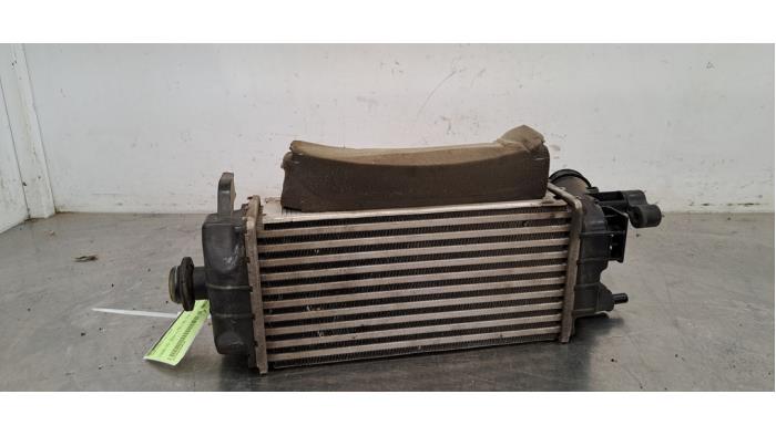 Intercooler Ford Fiesta