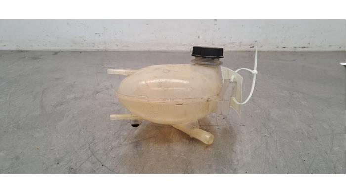 Réservoir d&#039;expansion Ford Fiesta