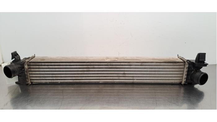 Intercooler Citroen Jumper