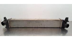 Gebruikte Intercooler Citroen Jumper (U9) 2.2 Blue HDi 140 Prijs € 133,10 Inclusief btw aangeboden door Autohandel Didier