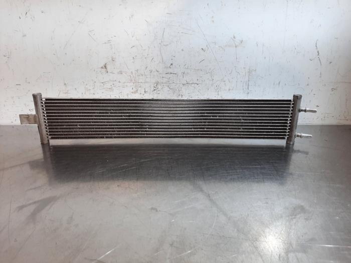 Radiateur Landrover Range Rover