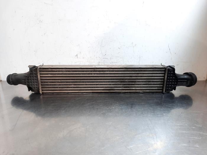 Intercooler Audi A4