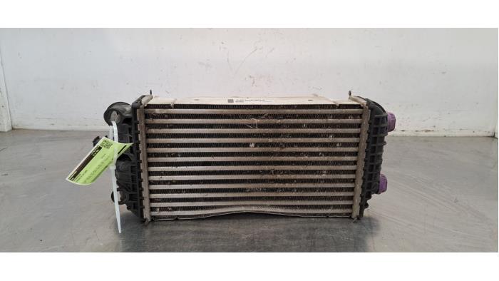 Intercooler Citroen C4