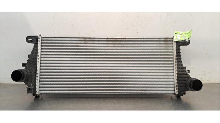 Intercooler Opel Insignia