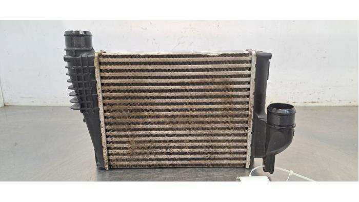 Intercooler Peugeot Expert