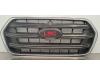 Ford Transit 2.0 TDCi 16V Eco Blue 170 Grille