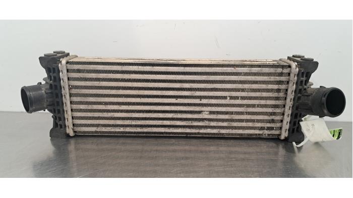 Intercooler Ford Transit