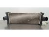 Ford Transit 2.0 TDCi 16V Eco Blue 170 Intercooler