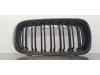 BMW X5 (F15) xDrive 35d 3.0 24V Grille