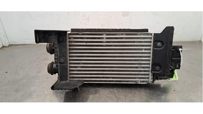 Intercooler Kia Sportage