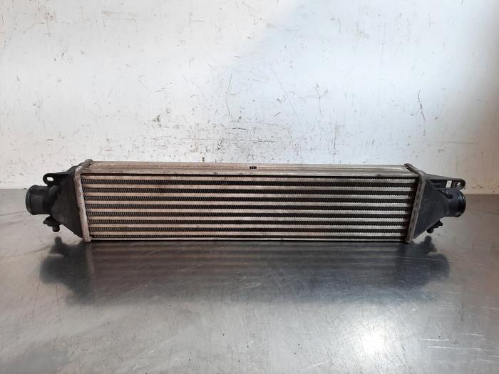 Intercooler Fiat Doblo
