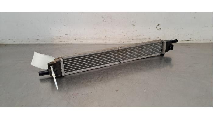 Refroidisseur d&#039;huile Kia Sportage