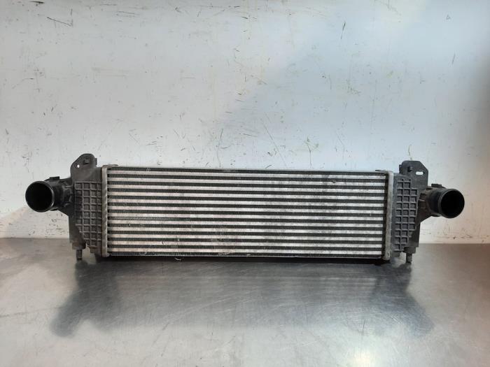 Intercooler Iveco New Daily