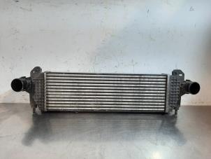 Gebruikte Intercooler Iveco New Daily VI 3.0 Natural Power 35C/S14, 40/50/65/70C14 Prijs € 199,65 Inclusief btw aangeboden door Autohandel Didier