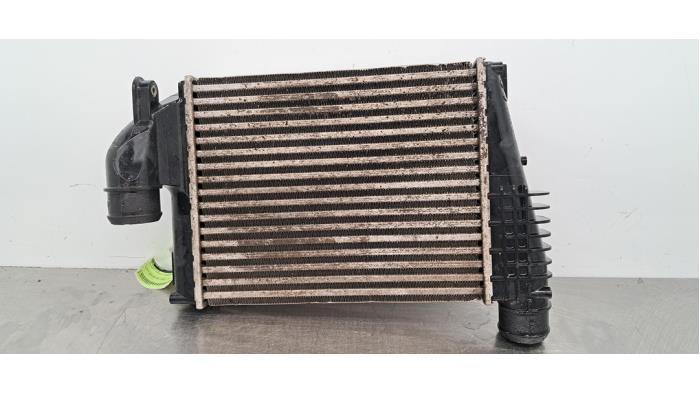 Intercooler Peugeot Expert