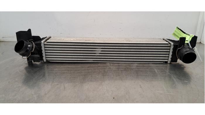 Intercooler Mini Cooper