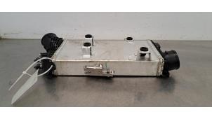 Gebruikte Intercooler Landrover Defender II 110 3.0 D300 MHEV Prijs € 254,10 Inclusief btw aangeboden door Autohandel Didier