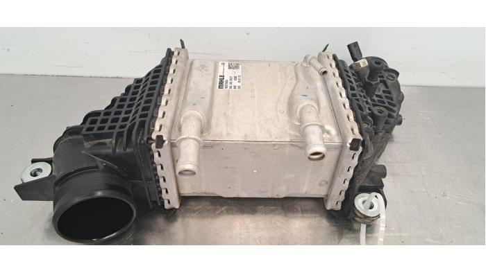 Intercooler Volkswagen Transporter
