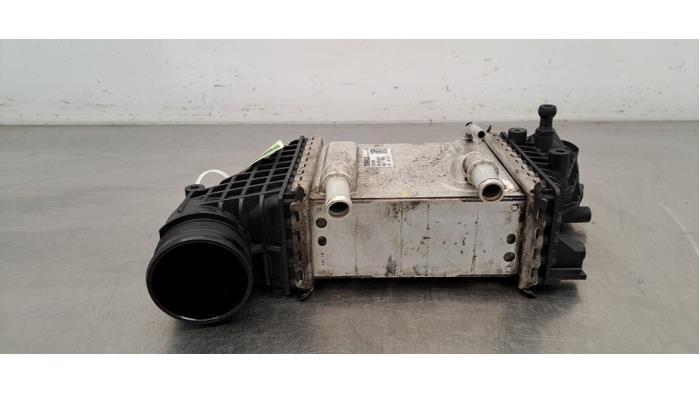 Intercooler Volkswagen Transporter