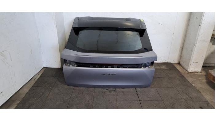 Hayon Peugeot 3008