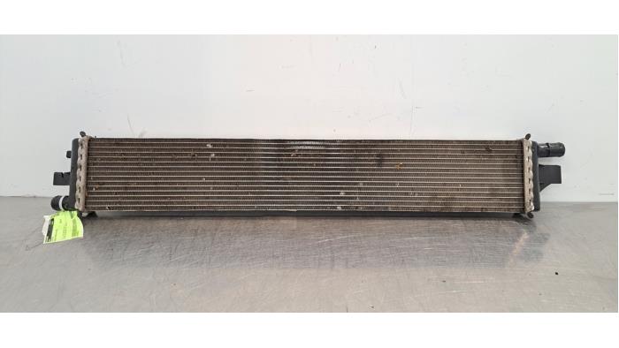 Radiateur Renault Master