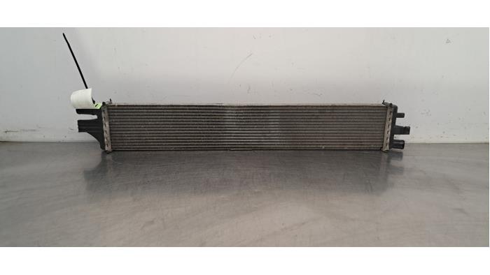 Radiateur Renault Master