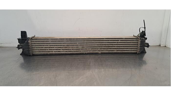 Intercooler Opel Movano
