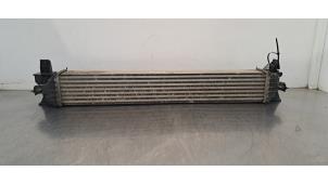 Gebruikte Intercooler Opel Movano 2.2 D 165 Prijs € 133,10 Inclusief btw aangeboden door Autohandel Didier