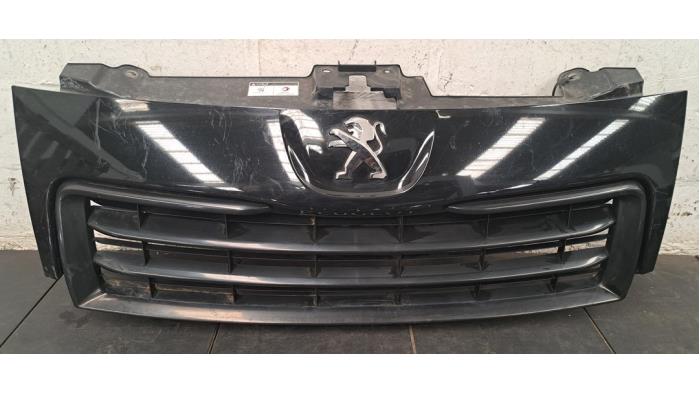 Grille Peugeot Expert