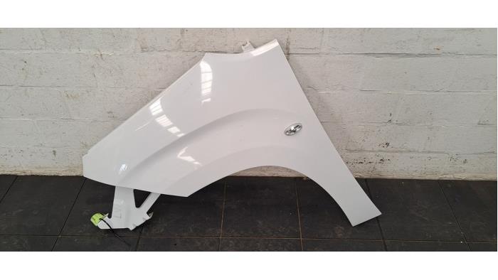 Scherm links-voor Opel Combo