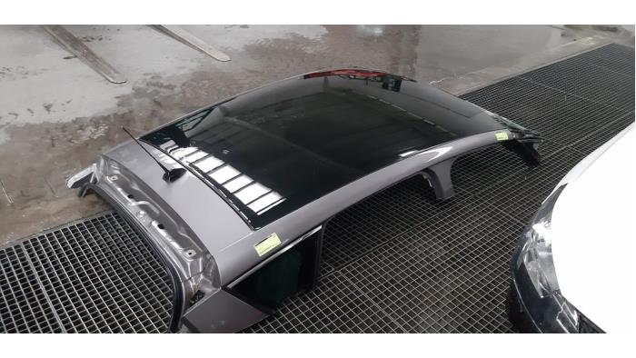 Panoramadak Renault Scenic