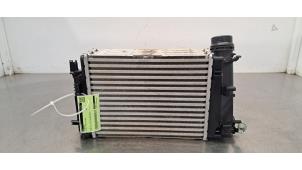 Gebruikte Intercooler Renault Scénic IV (RFAJ) 1.3 TCE 115 16V Prijs € 66,55 Inclusief btw aangeboden door Autohandel Didier