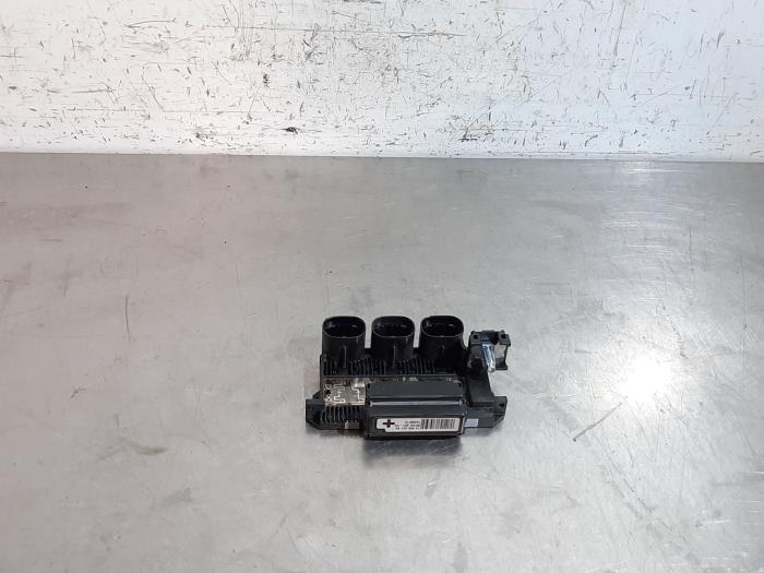 Batteripol Peugeot Expert