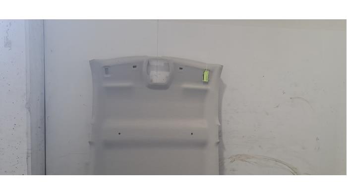Hemelbekleding Citroen E-C3