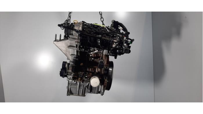 Motor Ford Puma