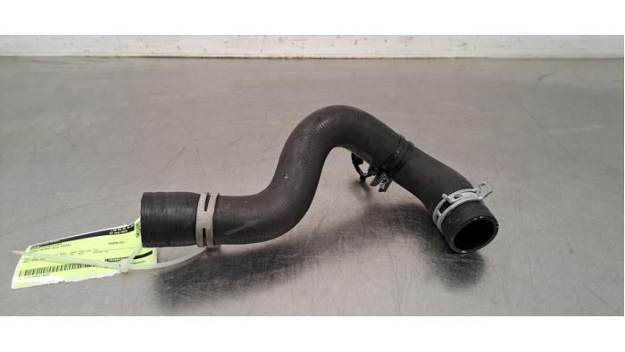 Tuyau radiateur Ford Puma