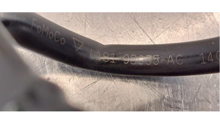 part