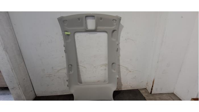 Hemelbekleding MG ZS
