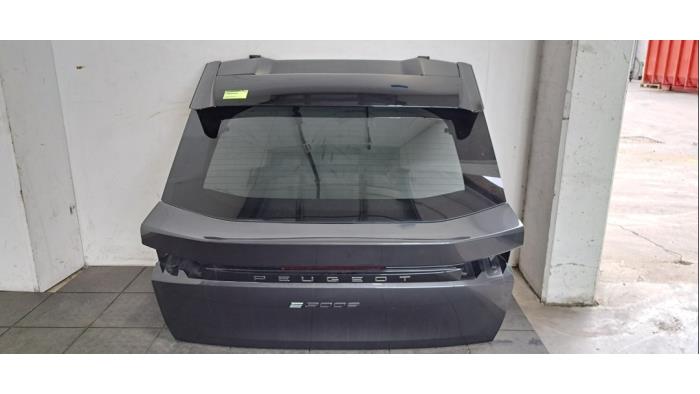 Hayon Peugeot 3008