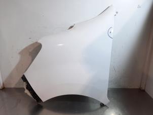 Gebruikte Scherm links-voor Renault Master III (EV/HV/UV/VA/VB/VD/VF/VG/VJ) 2.3 dCi 145 16V FWD Prijs € 229,90 Inclusief btw aangeboden door Autohandel Didier