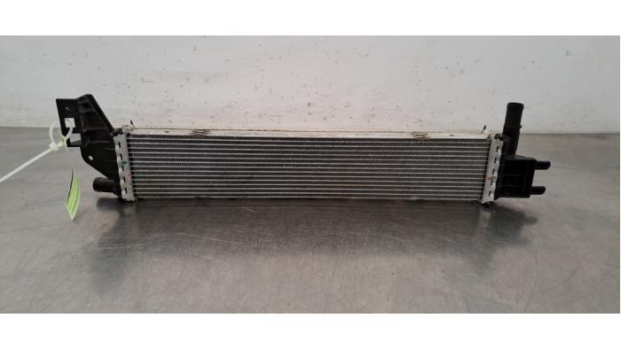 Radiateur Renault Express
