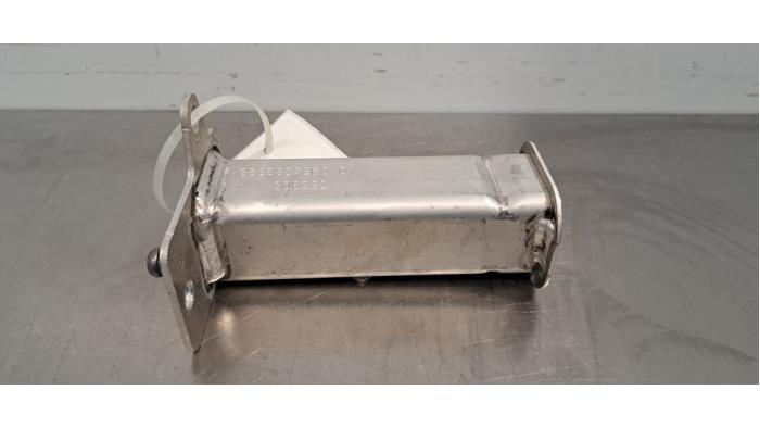 Frontdeel steun Peugeot 208